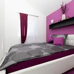 App Kokotić
